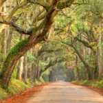 Aiken-South-Carolina-Relocation-Guide