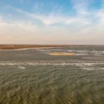 Folly-Beach-South-Carolina-Relocation-Guide